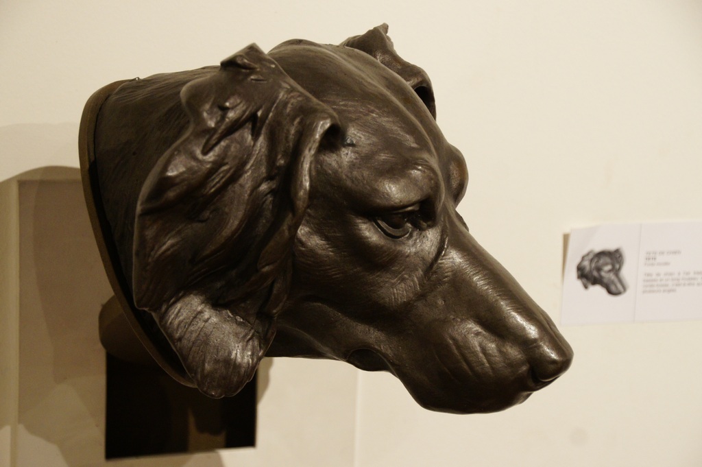 tête de chien du musée