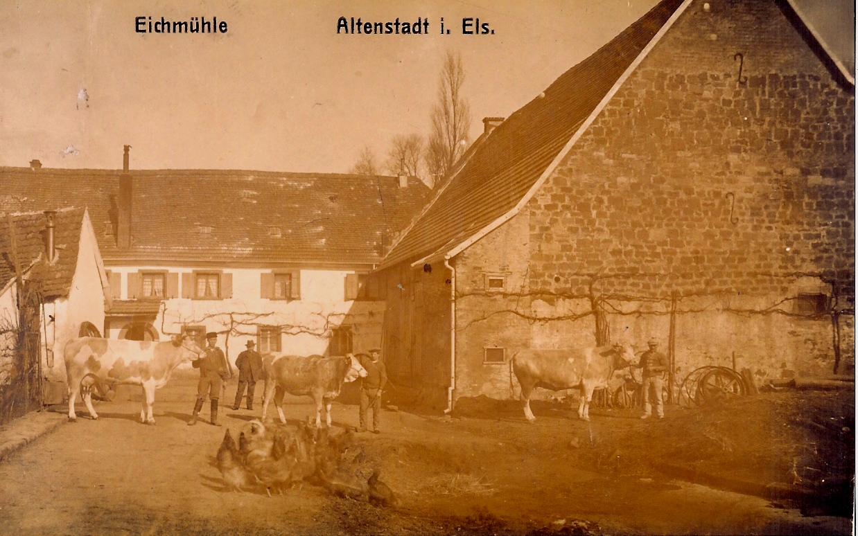 Eichmuehle en carte postale